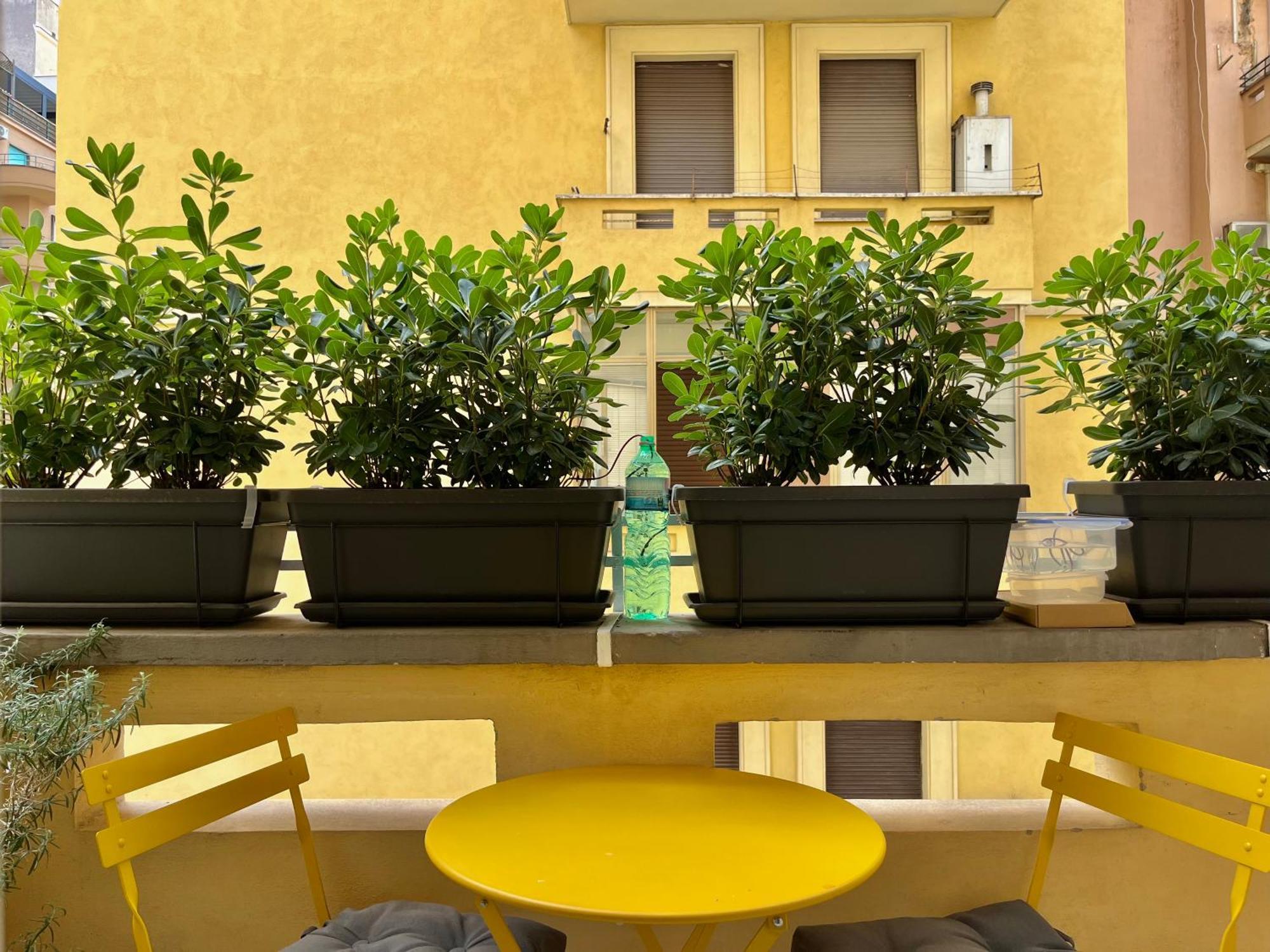 Apartamento - Belle Maison